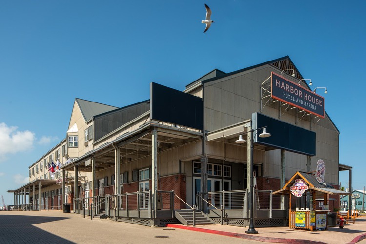 Seagull flying about hotel